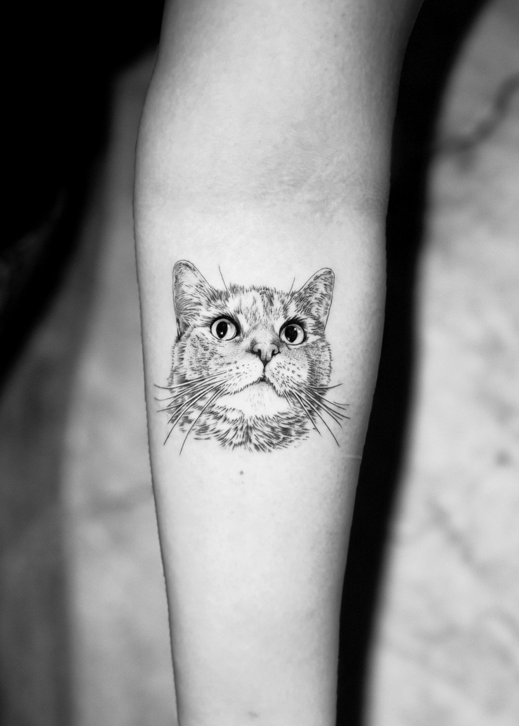 Fine line cat portrait forearm tattoo by Evelyn Garcia